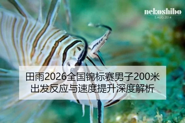 田雨2026全国锦标赛男子200米出发反应与速度提升深度解析
